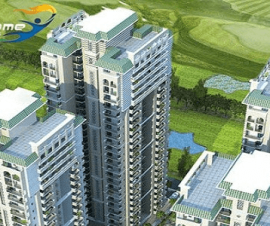 dev sai sports home image