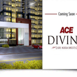 ace divino image
