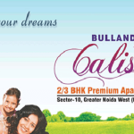 bulland calisto image