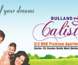 bulland calisto image
