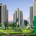 sikka kaamya greens image