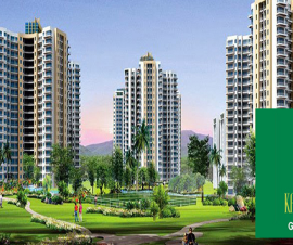 sikka kaamya greens image