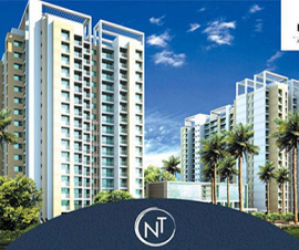 patel-neotown-image